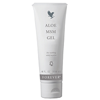 Aloe MSM Gel